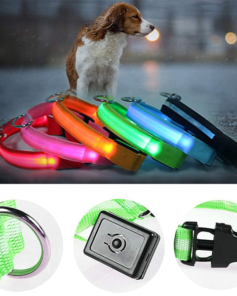 Adjustable LED Glowing Pet Collar
