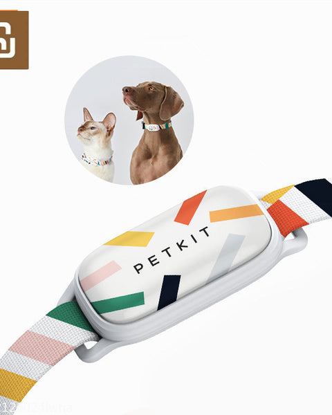 Smart Pet Collar